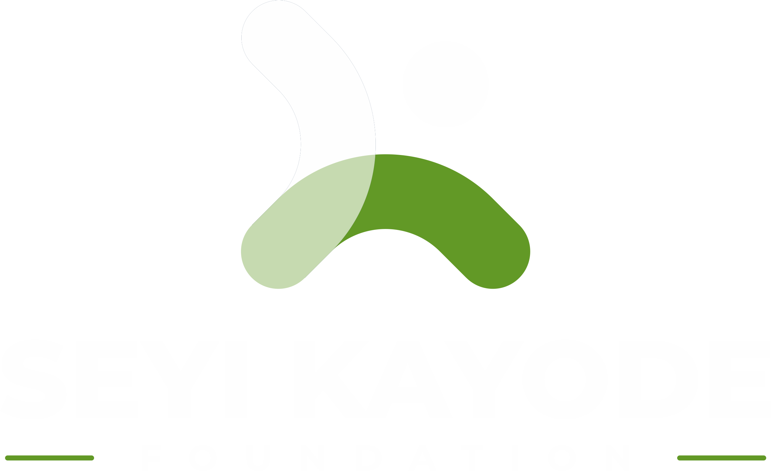 Seyi Kayode Foundation